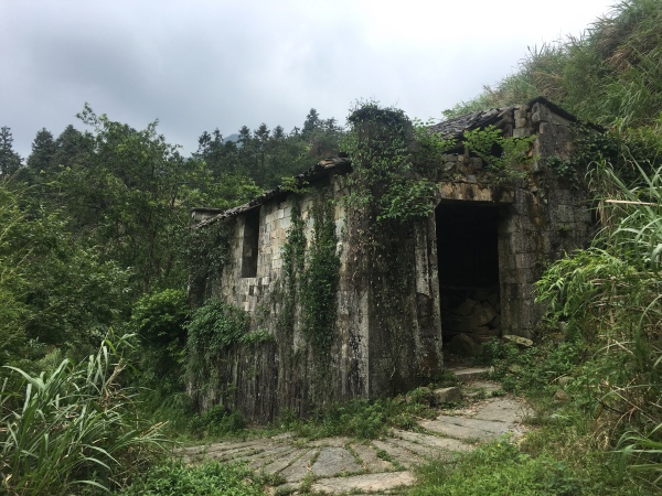 夏日行古道 | 茶亭、古樟与油纸伞，重拾婺源徽饶古道见闻