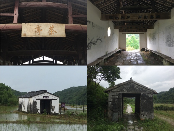 夏日行古道 | 茶亭、古樟与油纸伞，重拾婺源徽饶古道见闻