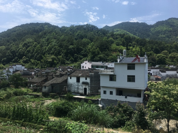 夏日行古道 | 茶亭、古樟与油纸伞，重拾婺源徽饶古道见闻