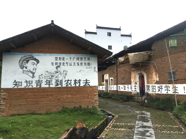 夏日行古道 | 茶亭、古樟与油纸伞，重拾婺源徽饶古道见闻