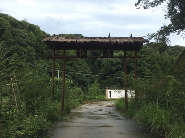 夏日行古道 | 茶亭、古樟与油纸伞，重拾婺源徽饶古道见闻