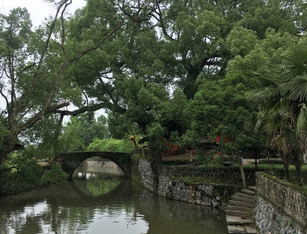 夏日行古道 | 茶亭、古樟与油纸伞，重拾婺源徽饶古道见闻