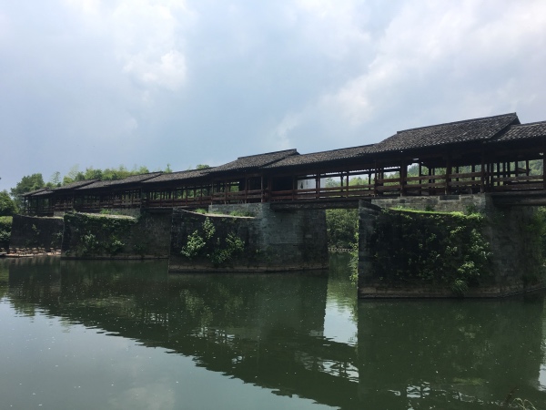 夏日行古道 | 茶亭、古樟与油纸伞，重拾婺源徽饶古道见闻