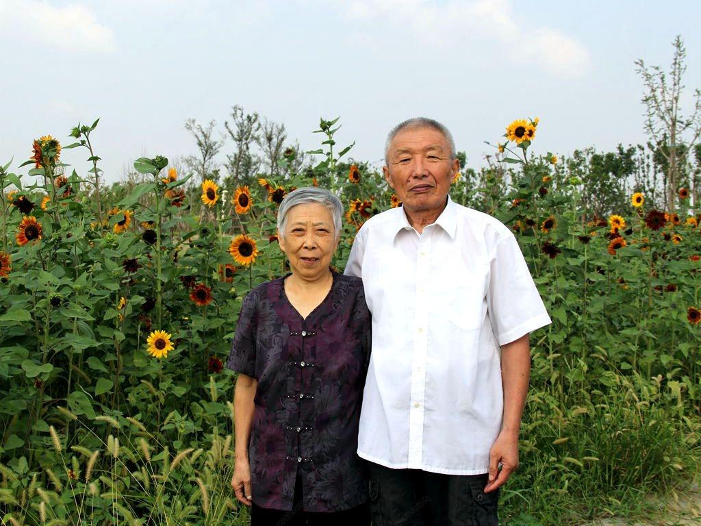 瓜儿牵藤 心儿向党