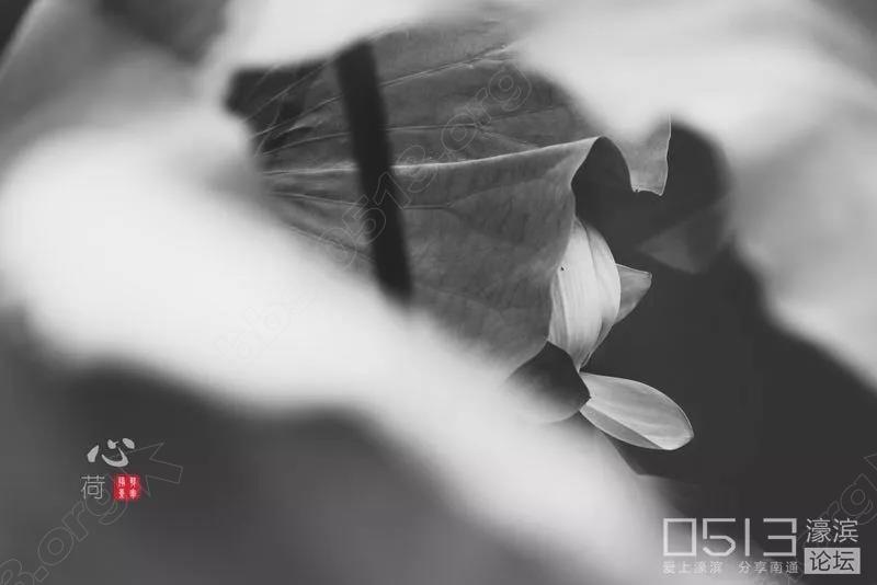 35黑白.jpg