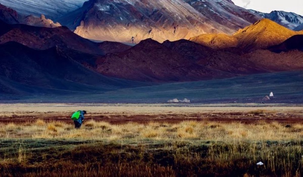 问吧精选 | 我在阿里，西藏的西藏和远方的远方