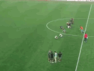 头条世界杯｜休赛日，我们一起来玩《滚动内马尔》