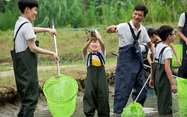 带着孩子去乌村过暑假