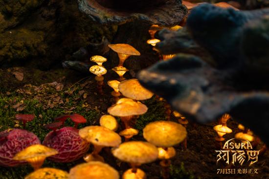 投资7.5亿、票房不到5千万，《阿修罗》为何主动撤档？