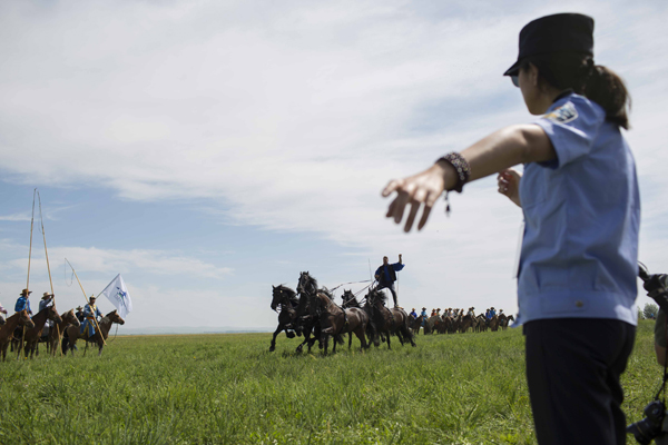 旅图｜内蒙古锡林郭勒花季旅游节：网红直播助力草原旅游业