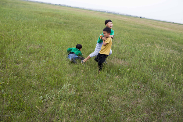 旅图｜内蒙古锡林郭勒花季旅游节：网红直播助力草原旅游业