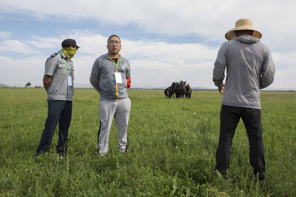 旅图｜内蒙古锡林郭勒花季旅游节：网红直播助力草原旅游业