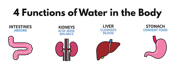 三伏天跑步该喝多少水？9个症状说明你已处于脱水状态