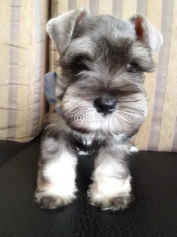 TB2NotCcL9TBuNjy0FcXXbeiFXa_!!832541793 (1).jpg