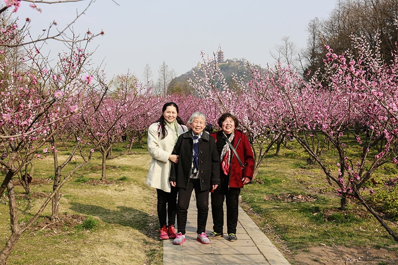 带着母亲去赏梅