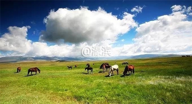 毛垭大草原.jpg