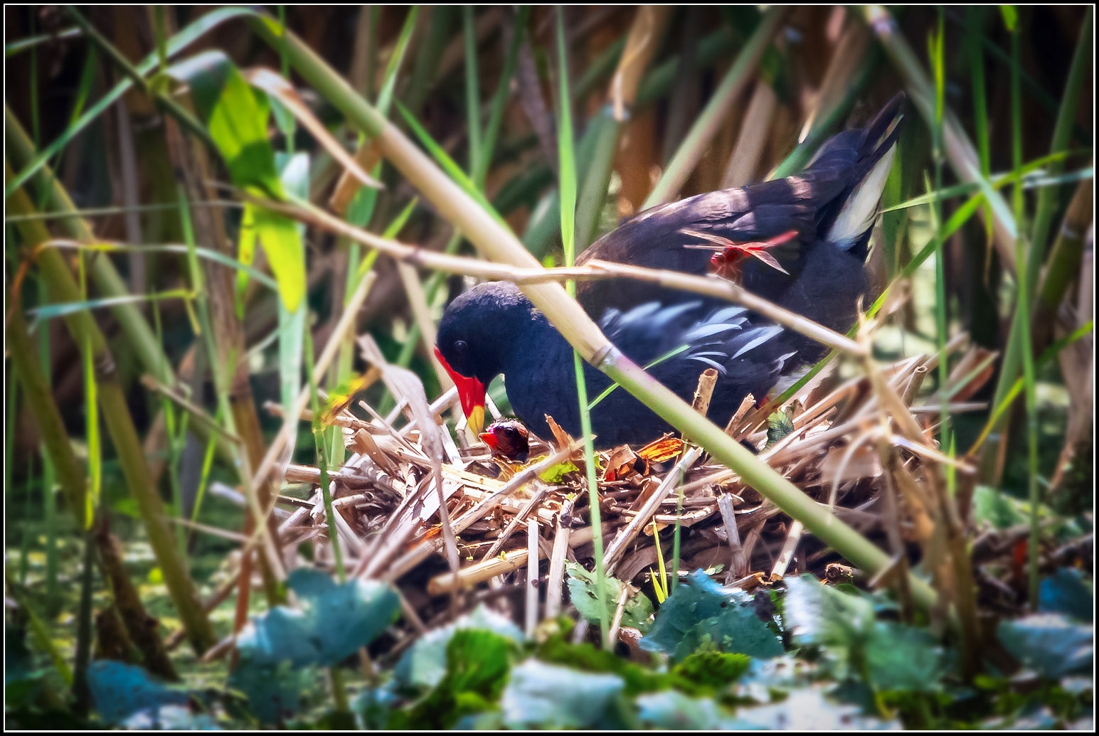 IMG_6850 一大一小2.jpg