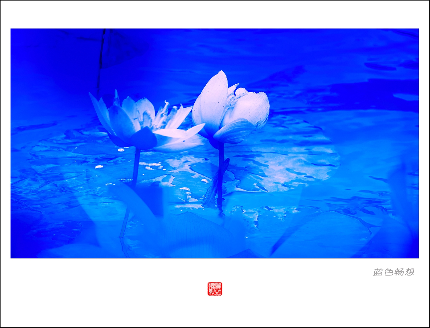 蓝系1.jpg