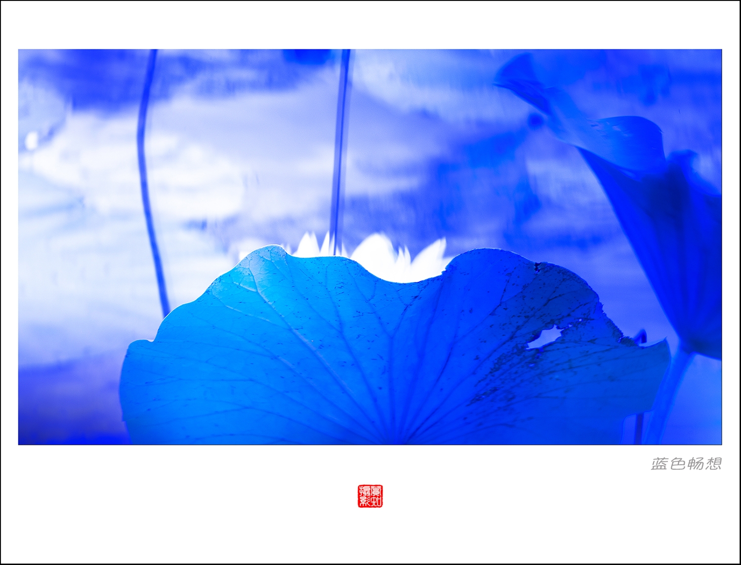 蓝系3.jpg