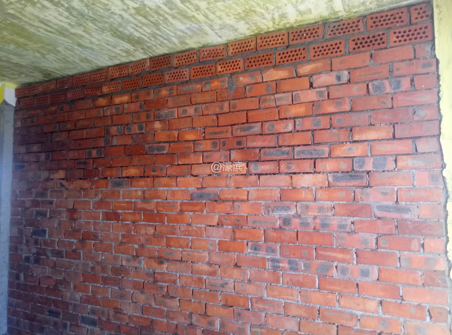 四季绿苑 (4).jpg