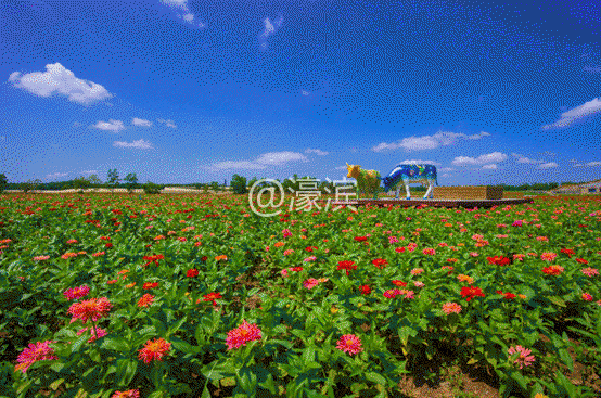 image004.gif