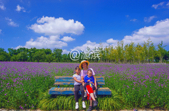 image006.gif