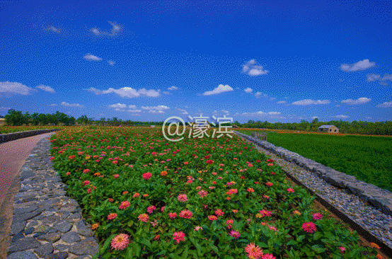 image012.gif