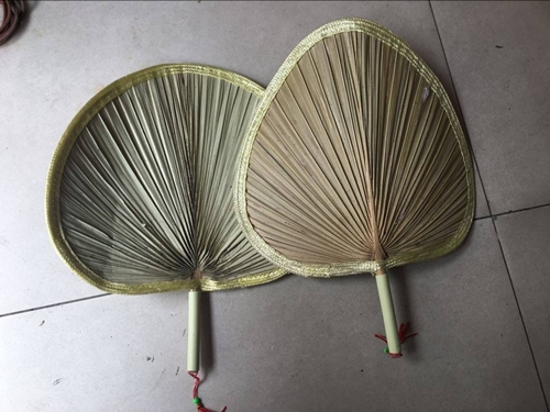 老蒲扇.jpg