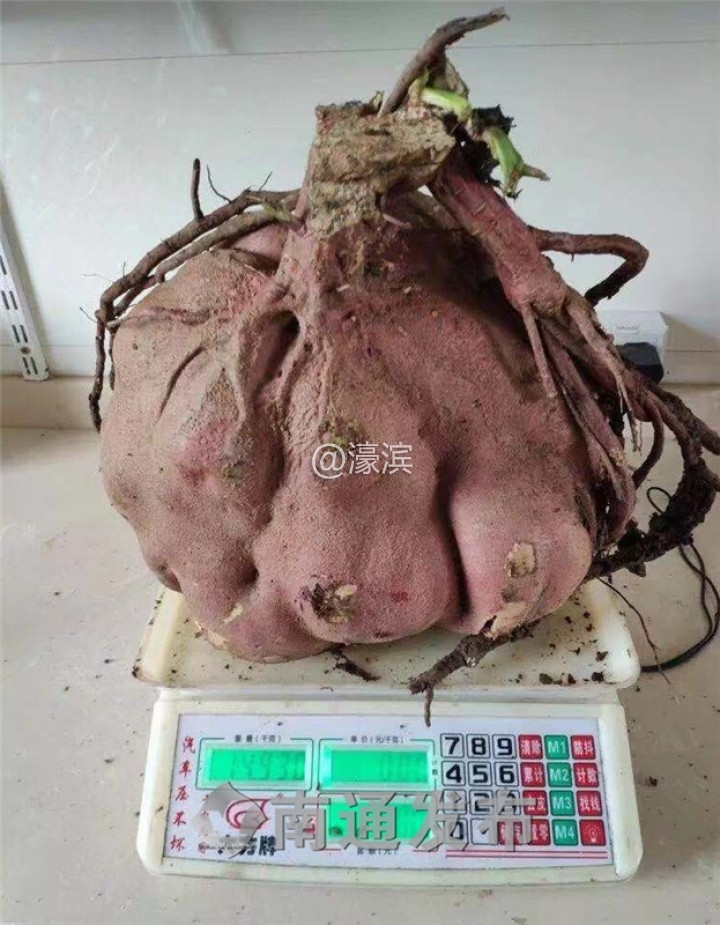 2.jpg 2.jpg
