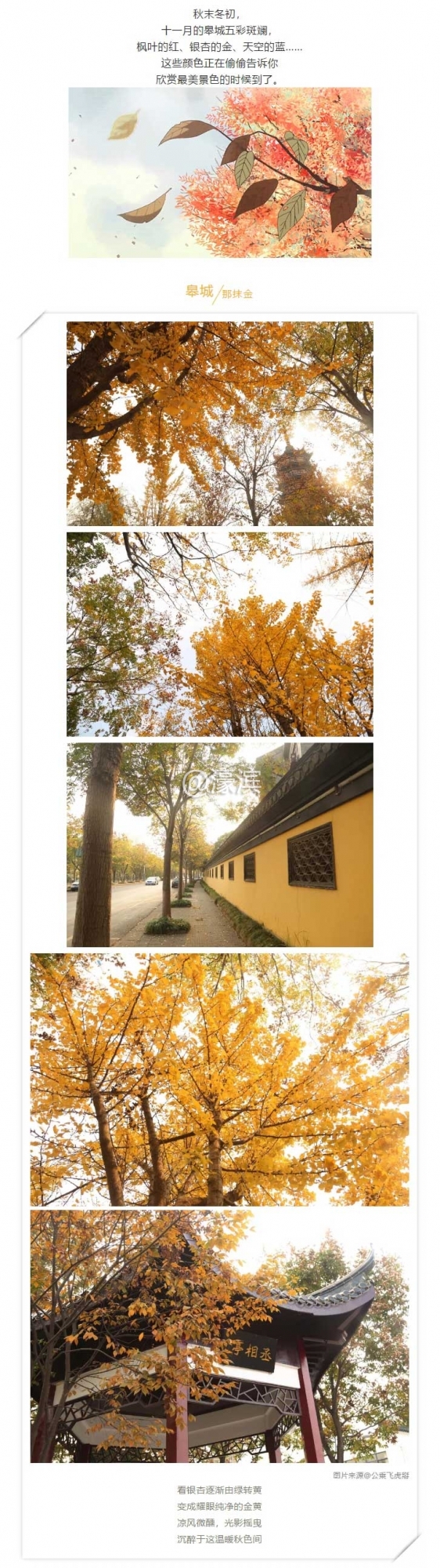 秋景_01.jpg