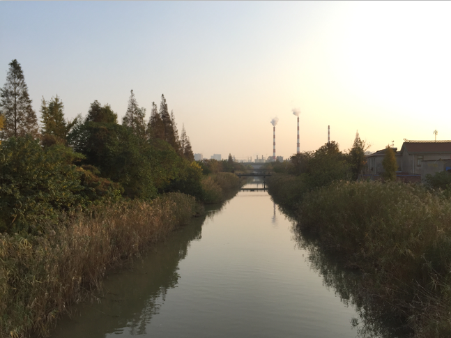 清理后平静而整洁的河面