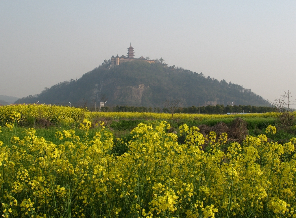 照片 069_副本.jpg