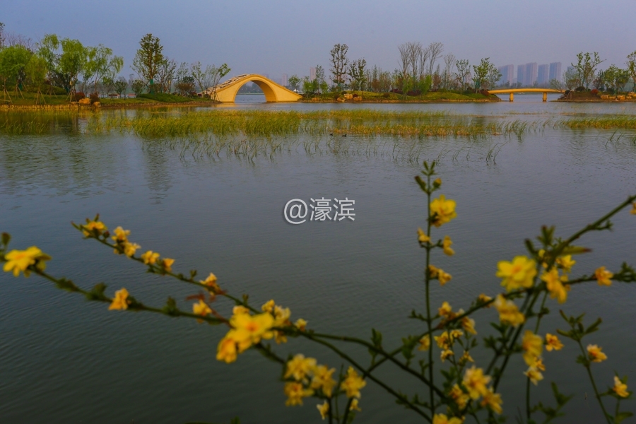 傍晚紫琅湖  风光秀美真养眼 (1).jpg