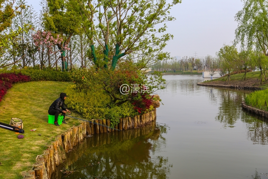 傍晚紫琅湖  风光秀美真养眼 (4).jpg