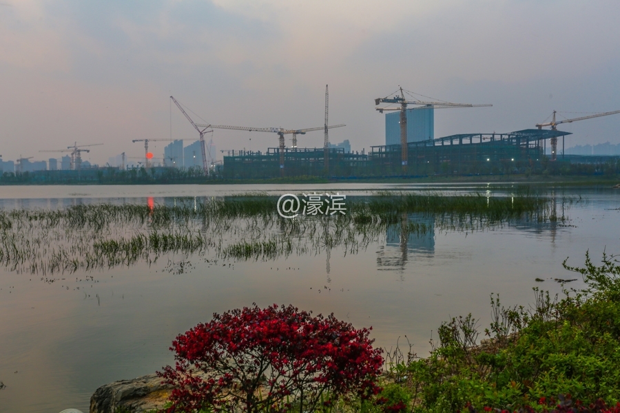 傍晚紫琅湖  风光秀美真养眼 (7).jpg