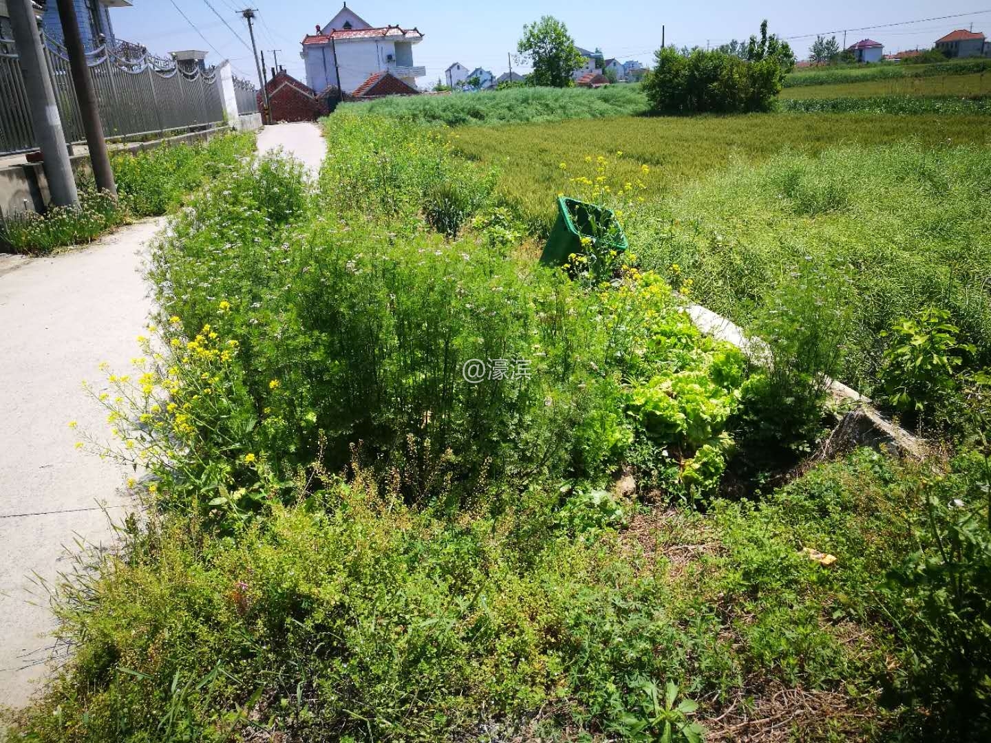 路边渗漏坍塌01(此外为闸口)