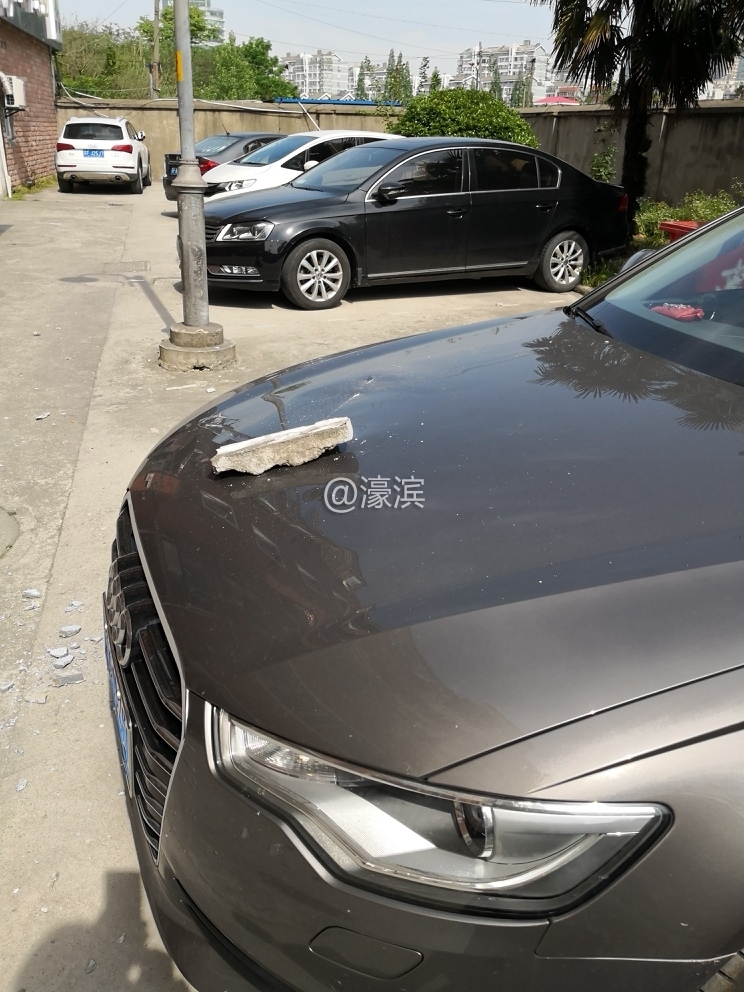 IMG_20190504_090121_resized_20190505_082536519 (3).jpg