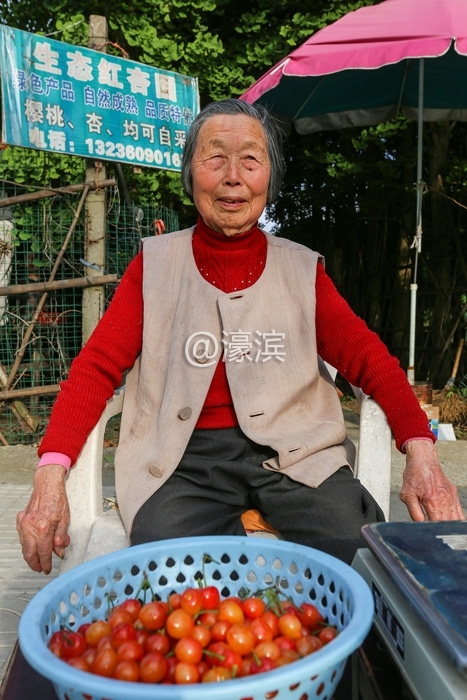 南通红杏园 樱桃熟了釆摘啦  (3).jpg