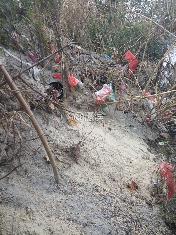 御龙湾1期河东1，龙游河边香灰、垃圾5.jpg