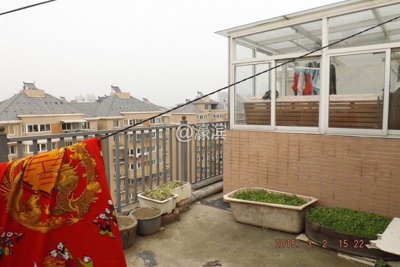 4月11日防盗门被损坏，兰花出房 008.jpg