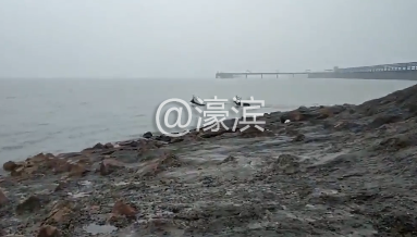 QQ浏览器截图20190630184920.png