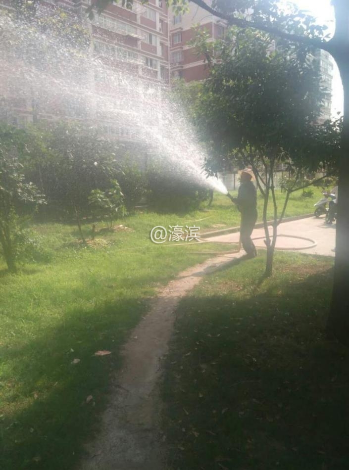 绿化浇水2.jpg
