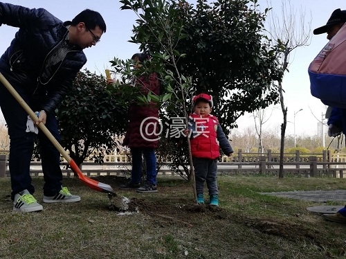 植树节.jpg