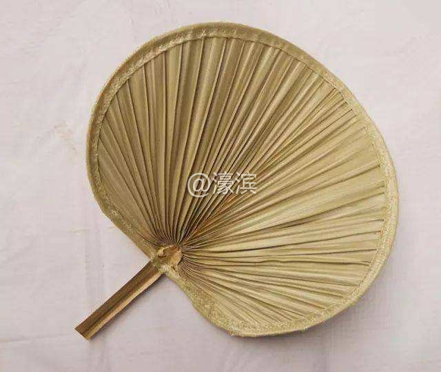 蒲扇.jpg