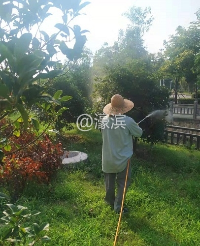 浇水.jpg