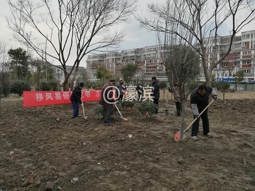 2018年2月3日，移风易俗树文明，志愿植树护绿化.jpg