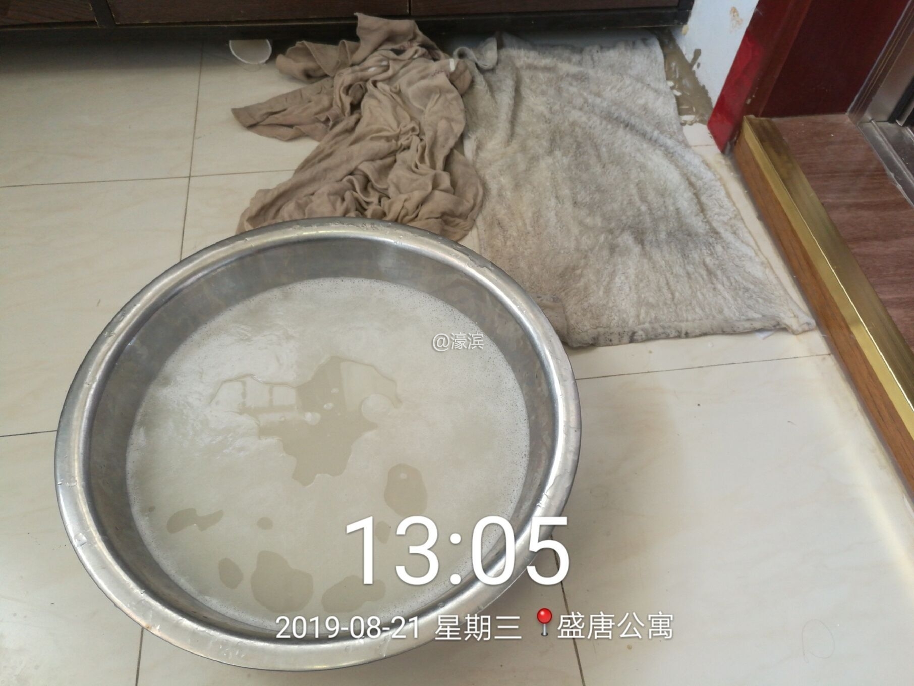 今天家里又是一盆水。还泛着泡沫