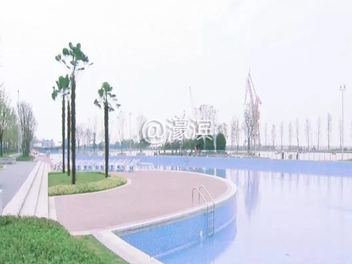 t01f2e1aa41485af498 (1).jpg