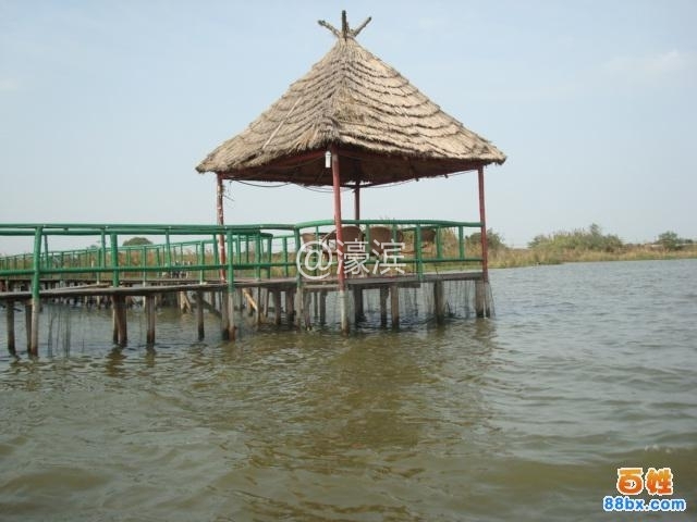 33_365851_c528fd5a91be0d4 - 副本.jpg