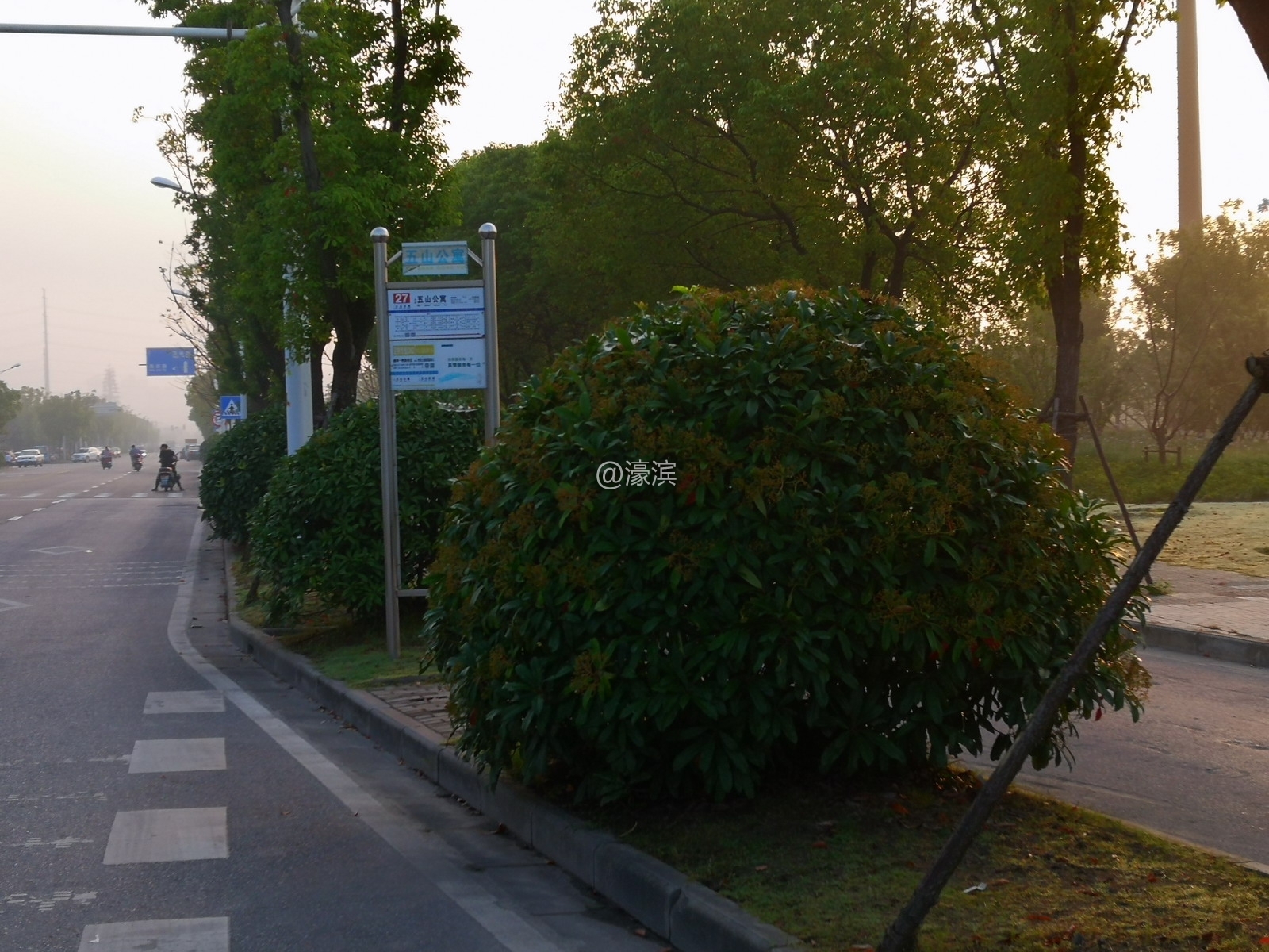 花园路公交无站台多年